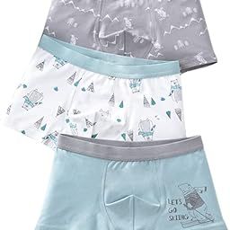 Dorakitten Boy Underwear Cotton Breathable 3 Pairs Modern Elastic Stretchy Fashion Brief Panty Trunk Underwear Boxer-image-11