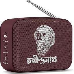 Carvaan Mini 2.0 Wireless, Auxiliary, USB, Bluetooth Bookshelf Speaker (Terracotta Brown)-12