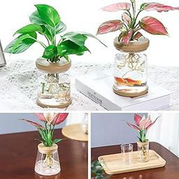 Mini Hydroponic Flower Pot Home Vase Decor Transparent Imitation Glass Soilless Pots Green s Pot for Home Decoration-image-42