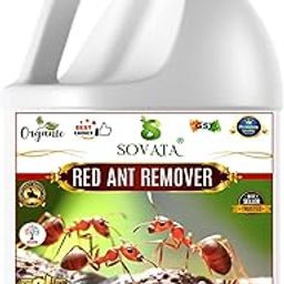Sovata® Red Ant Remover, Essential Organic Powerful Liquid Insecticide for Removing all types of red ants and insects from Plants and soil. (1000 ml)-29