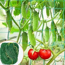 WNE Jaliwale Plant Climbing net & Creeper Net & Plant Trellis Net Plant Support Net Green Color for Agriculture and Gardening Net - 6Feet x 12Feet-10