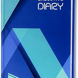 amazon basics 2025 Undated Diary | To dO List | Appointment Organizer | For Office Going Men & Women-31