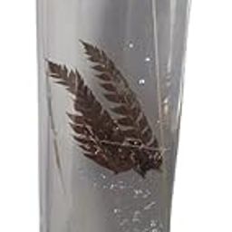 Fern Specimen (Botany Specimen) Brand OM Labs-31