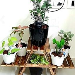 RESHUZ Wooden Plant Stand with 3 Desks/Living Room Side Stand/Wooden Stool/Garden Table/Vase Stand for Garden and Outdoors, Brown-image-39