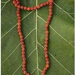 Rudraksha Jaap Mala for Men and Women | 5 Mukhi Beads for Meditation, Peace & Positivity | Traditional Puja Mala | Rudraksha And Gemstone Store-image-84