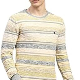 Mens Striped Round Neck Full Sleeve Pullover (1243263RN)-image-37