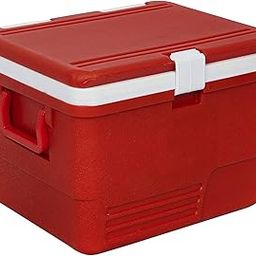 Vroxy Plastic Insulated Icebox 25 Liter | Standard Size for Ice Cubes, Cold Drinks, Food Storage Small Items and Medical Purpose for Home Travel, Multi Color (25 Liter)-image-5