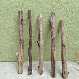 Teak Wooden 5 Driftwood Sticks 20-30 cm Long-image-68