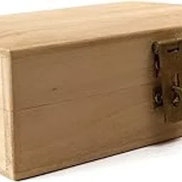 The Spiritual Living Shriparni Wealth Money Cash Box || Vastu Products || Finance || Size - 7 x 5 Inches-picture-38