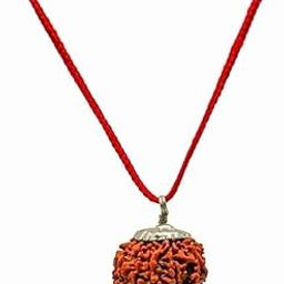 Natural 12 Mukhi Rudraksha Original Certified Nepali || Twelve Mukhi/Faced Nepali Rudraksh Pendant Bead.-picture-6