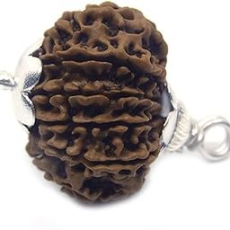 Rudraksha 13 Mukhi Original Certified 13 मुखी रुद्राक्ष 13 Face Rudraksha 23mm Terah Mukhi Rudraksha तेरह मुखी नेपाली रुद्राक्ष Thirteen Mukhi Rudraksha Blessing Indra For Men Women-43