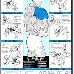 PIXELARTZ Wall Poster Chest Motivational Workout and Exercises Illustrations Bodybuilding Gym Posters HD Quality Posters for Home, Office, Room, Gym Wall - Multicolor (601)-image-11