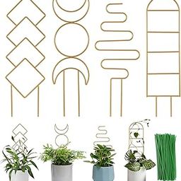 CRAFT CAPITAL 4 Pcs Small Plants Trellis, 13 x cm, Metal Garden Trellis with 40 Twist Ties, Geometric Indoor Plant, Black (Gold-Metal-Trellis01)-12