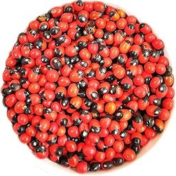 Devotional Kart Natural Rakt Gunja/Chirmi/Red Gunja/lal gunja beej Seeds for Pooja (100 Grams)-picture-26