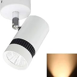 SHETRA LED 3 watts Wall Spot/Focus Light Metal Body for Wall Painting & Art, Statues etc (Warm White)-22