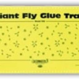 PECOPP Divam Fly Giant Glue Trap – Extra-Large Plastic Adhesive Sheets for High-Capacity Fly Control – Fast-Acting, Eco-Friendly, Ready-to-Hang Design – Long-Lasting Indoor/Outdoor Use-image-9