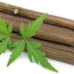 DivineCount Neem Datun 10 sticks with free 5-image-29