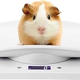10kg/1g Portable High Accuracy Weighing Pet Scale Kitchen Scale, Digital Baby Weight Scale Pet Scale Scales-image-83