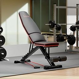 Cockatoo Alpha X10 Strength Training Incline Decline Bench Press With Resistance Band, Flat and Upright Gym Bench For Home,Max User Weight-150Kg-picture-31