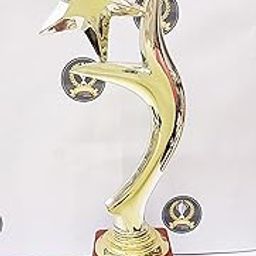 Trophy Golden Fiber Star Award-image-47