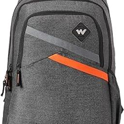 Polyester Backpack for Men & Women – Expedition LPBP 40 Laptop Backpack | Unisex Durable Lightweight & Stylish – Ideal for Travel School Work & Daily Use-image-62