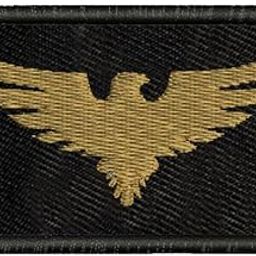ISEE 360® Eagle Embroidery Sweable Applique Patches for Riders Jackets Bags Clothes Any Dress Etc L x H 2 x 3 inch (Gold)-picture-31