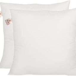 Home-The Best is for You Micro Fiber Cushion Insert Extra Soft, White (Pack of 2, 16x16 Inch)-image-48