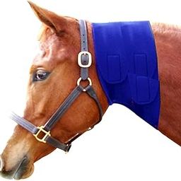 Gladdy's Equine Neoprene Jowl Wrap for Horses (Blue/Black) (10 Inch)-picture-19
