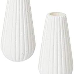 RSP HOME DECOR Omega VASE Crafts White Colored vase for Your Flowers for Home Decor,Real Flowers Home Decor Set of 2 (White) Plastic-image-1