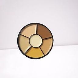 NEYCARE concealer palette long lasting perfect matte finish easy to use all skin type natural look-picture-52