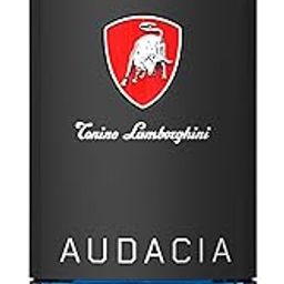 TONINO LAMBORGHINI TECNO AUDACIA EDT 100ML-image-48