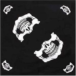 Bandanas for Men & Women, Boys and Girls Paisley Bandana Headband Scarf Handkerchiefs Wristband Cowboy Neckerchief Head Wrap Face Mask Gift-image-113