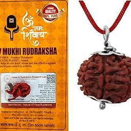 Haridwar Divine Wood Material 7 Mukhi Rudraksha Original Certified Bead - Natural Nepali 7 Mukhi Rudraks for Meditation and Prayer, with in Brown Colour-image-51