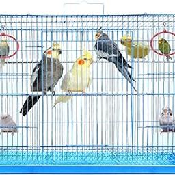 JAINSONS PET PRODUCTS 2.5 Feet Bird Iron Cage For Parakeet, Lovebird, Parrot, Budgie, Cockatiel Cage Hammock 30X18X18 Inch (Color May Vary)-19
