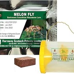 ACTIVE IPM Fruit Fly Trap + Bactrocera cucurbitae Pheromone Lure (Combo Pack of 6 Sets) Pest Control Tool for Attracting, Trapping Melon Fly Moths-image-6