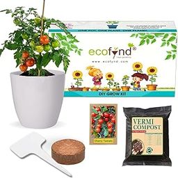 ecofynd DIY Grow Kit for Cherry Tomato || DIY Easy Grow it Yourself Gardening Kit for Home and Garden || A Complete Beginner Gardeners Gardening Set || Best Return Gift For Kids Birthday Party-image-89