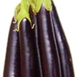 Brinjal Black Long Seeds Hybrids F1 Vegetable Seeds for Home Garden for Planting for All Season (100 seeds) By Zabbus-image-17