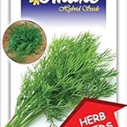 Anith Herb Herb Seeds Kitchen Garden Packet-image-73