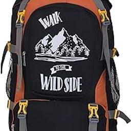 Ravel Backpack for Sport Camping Hiking Trekking Bag - Rucksack - 65 L (Sky Blue)-image-73
