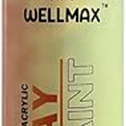 WELLMAX SPRAY PAINT (RED OXIDE 1K PRIMER 400ML / 340 GM)-image-1