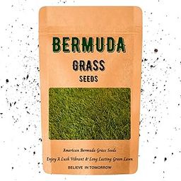 American Bermuda Grass Seeds for Lawn, Turf, Cricket Ground, Stadium, Park, Farmhouse, Sports Field, Garden Grass, Fast Growing, Green Grass, Gardening Seeds | Free Growing Guide | (10 Gram)-image-9