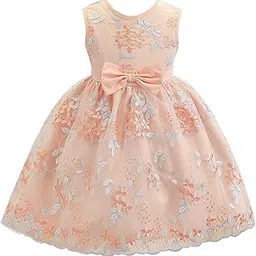 tagas Girls' Princess Dress | Girl Dress |Dresses birthdaydress for Babygirls |-picture-23