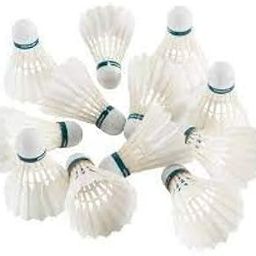 Gyronax A3 Feather Badminton Shuttlecock (Pack of 10), White-image-9