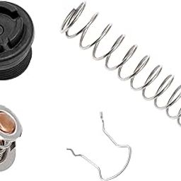 XIAOQENAN Metal Temperature Regulator Compatible For 125 200 250 300 333 400 SR200 SR333 SR400 77707-0010 38000-0007S Pool Heaters-image-25