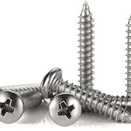 B K JAGAN & CO Phillips Head (Hybrid Head), Nickel Coated Self Tapping Screw (No. 8 x 25mm) (100)-19