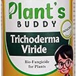 PLANT'S BUDDY - Trichoderma Viride Liquid (2 * 10^9 CFU/ml) - Bio-Fungicide for All Indoor and Outdoor Plants - Effective against Root-rot, Stem-rot, Leaf Blight, Leaf Spot - 500 ml-image-104