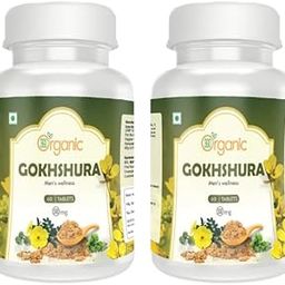 360 DEGREEORGANIC Gokshura (Tribulus terrestris) Tablets Herbal Supplement – Urinary Health & Kidney Support 500mg Combo pack of 2-1