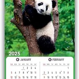 Leonius 2025 Panda Theme Wall Calendar | 6 Sheet | 130 GSM | 12.5 x 18.5 In-image-37