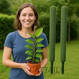 CATTAILS Moss Stick Green Grass Poles for Plant Support, Perfect for Money Plants & Climbing Indoor Plants (Pack of 2, 2 Feet)-image-43