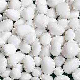 Schmick 1 Kg Polished White Pebbles Stones for Plant pots, Aquarium/Fish Tank, Decorations, Garden, Tables, and Home Decor (1 Kg, White Stone)-14